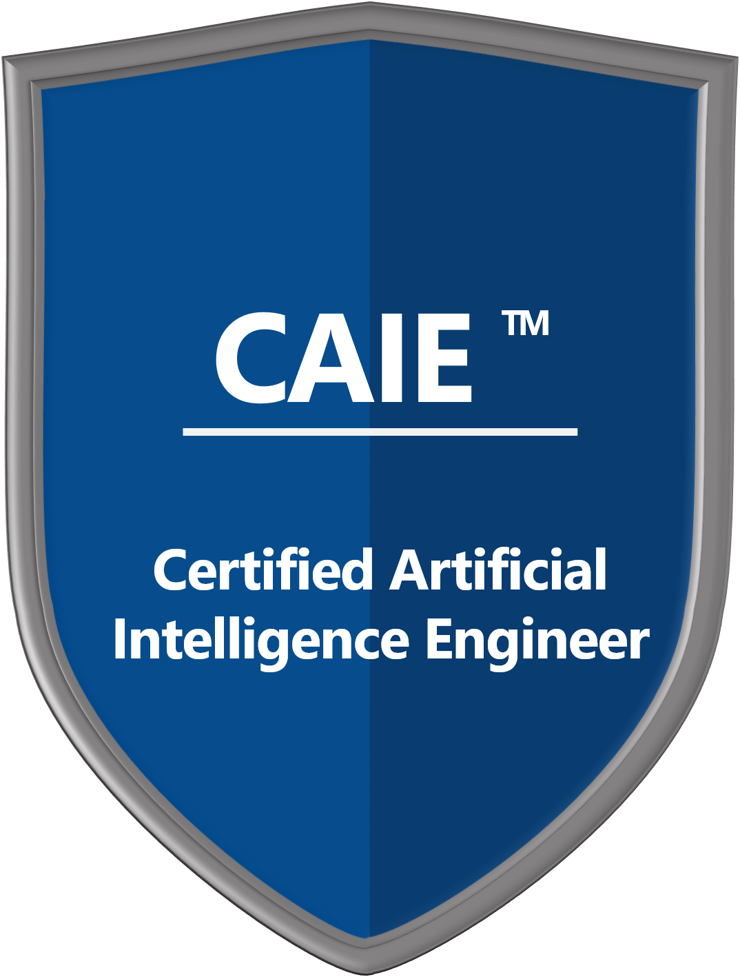 Certified Intelligence Engineer Engineer